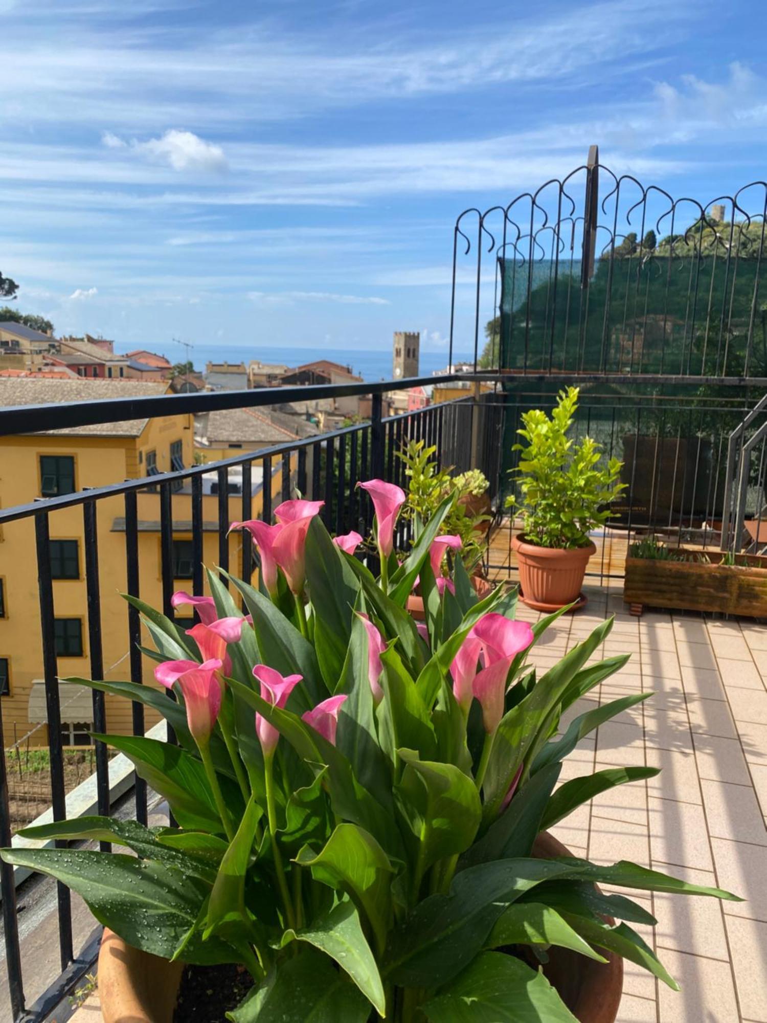 La Terrazza Di Monterosso Apartment Monterosso al Mare Bagian luar foto